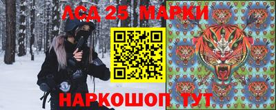 индика Абакан