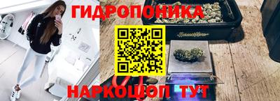 индика Абакан