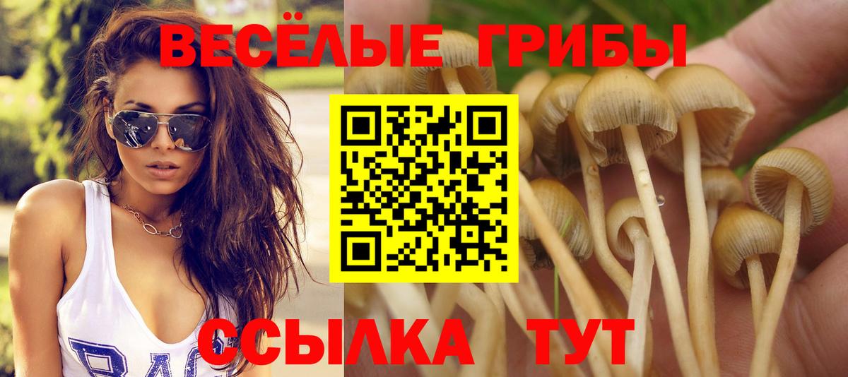 Псилоцибиновые грибы MAGIC MUSHROOMS  наркота  Вход с VPN  Абинск  Галлюциногенные грибы Magic Shrooms 