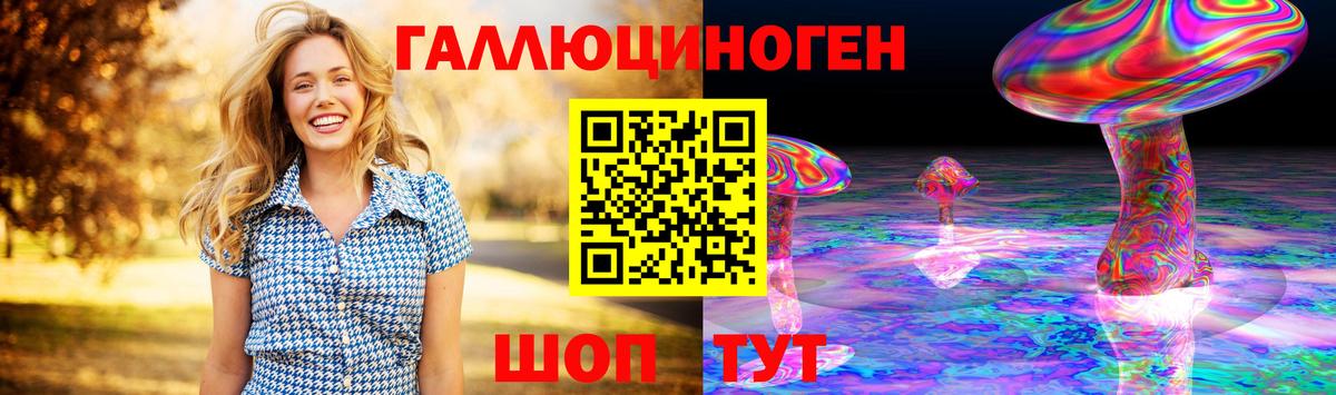 Галлюциногенные грибы Psilocybe  Абинск 